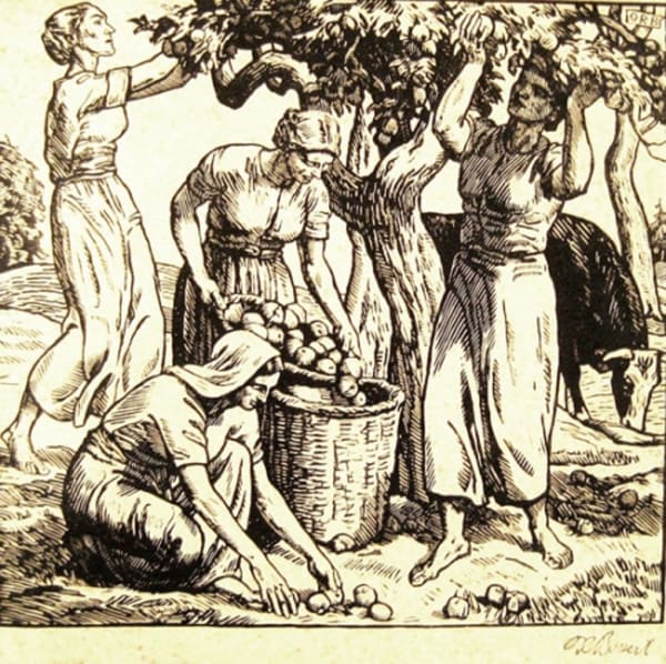 O R BONERT, The Fruit Pickers