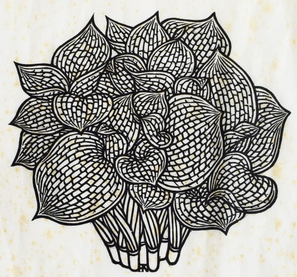 JACQUES HNIZDOVSKY, Seersucker, from: Flora Exotica: A Collection of Flowering Plants, 1972