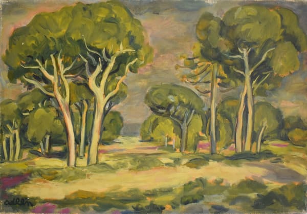 MICHEL ADLEN, The Pinewood | la pinède