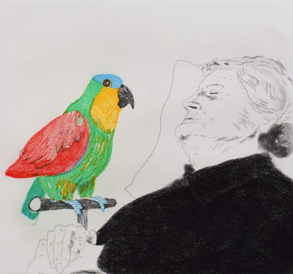 DAVID HOCKNEY, Félicité Sleeping with Parrot, from: Illustration for a Simple Heart of Gustave Flaubert, 1974/78