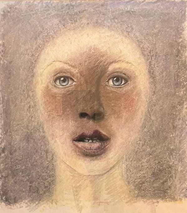 Chocolate Point Head