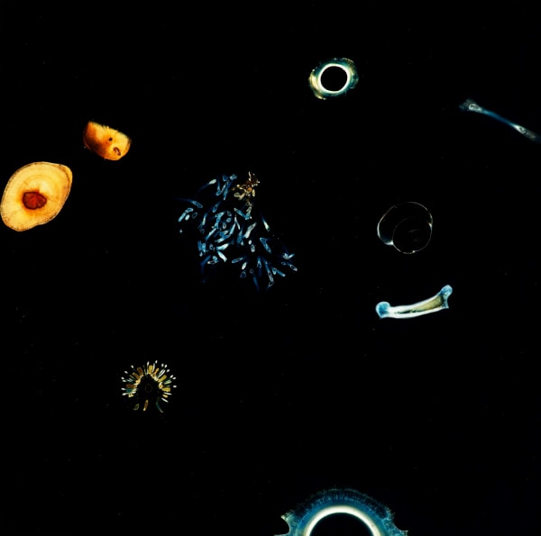 Mayme Kratz, Night Study 13