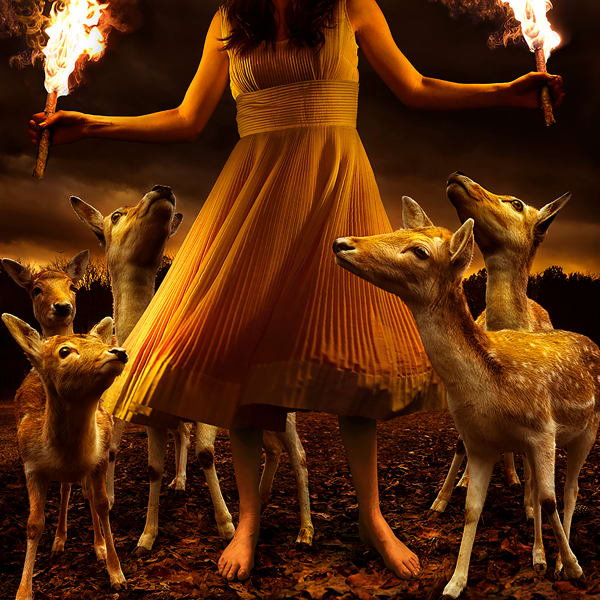 purchase Tom Chambers photography Gilman Contemporary Sun Valley art gallery Idaho girl with fawns deer