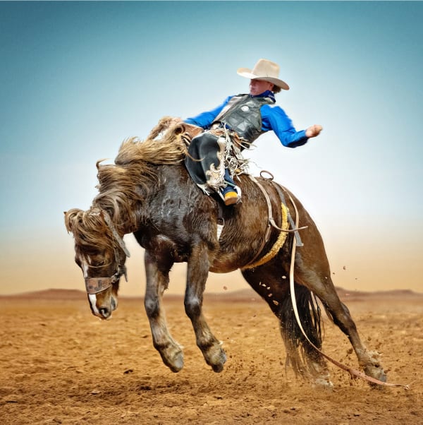 Haymaker color rodeo photograph Steve WRube