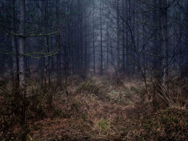 Ellie Davies photography Stillness series buy here Gilman Contemporary Sun Valley art gallery