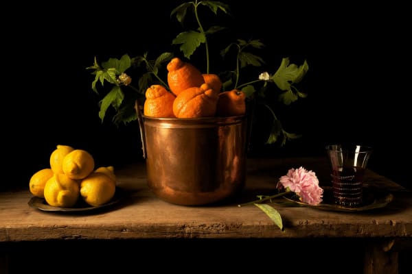 Paulette Tavormina still life photograph lemons oranges and peony original print buy here Sun Valley art gallery Gilman Contemporary