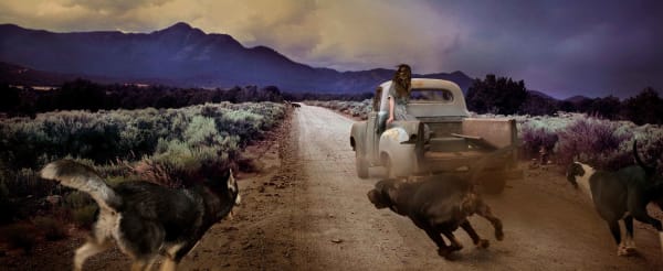 Dirt Dogs photograph Tom Chambers girl in truck buy here Gilman Contemporary Sun Valley art gallery ID