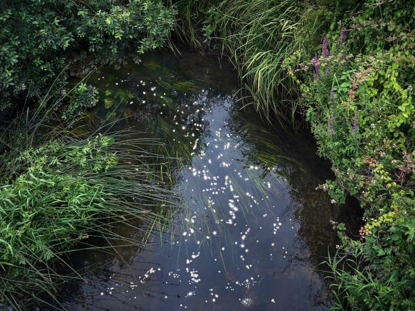 UK photographer Ellie Davies Chalk Stream series buy here Gilman Contemporary Sun Valley art gallery Idaho