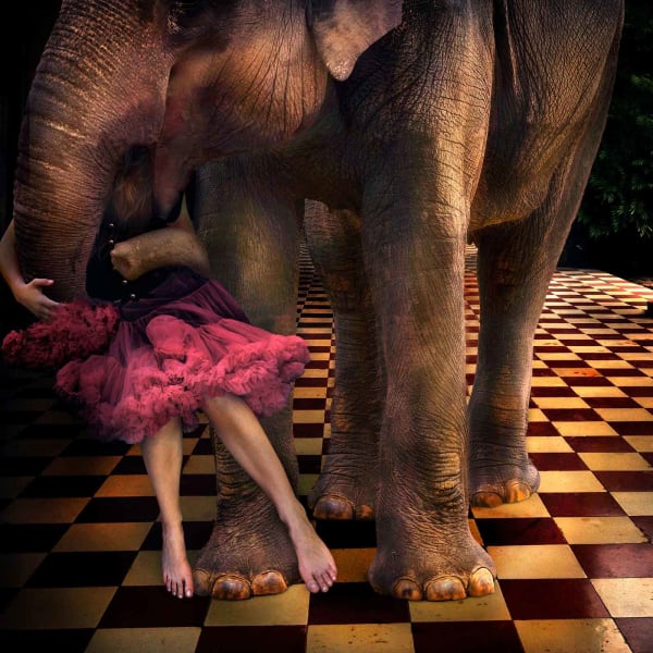 Tom Chambers photography elephant hugging a young girl buy originals here Sun Valley contemporary art Gilman gallery