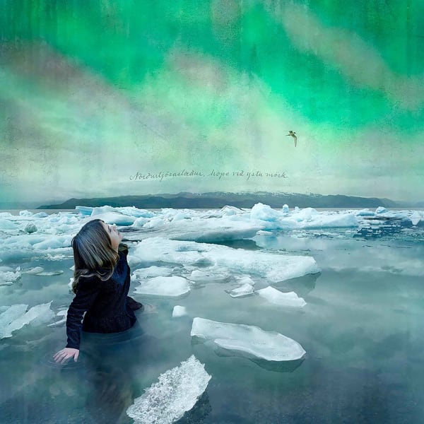 Aurora photograph Tom Chambers girl looking at the sky buy here Gilman Contemporary Sun Valley art gallery