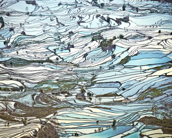 David Burdeny photograph rice terrace