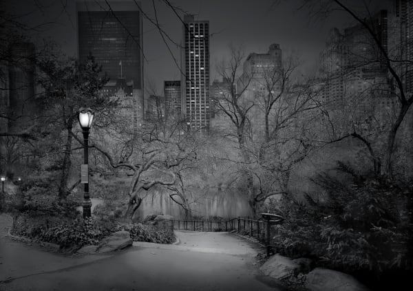 early morning black and white photo in new york of the park