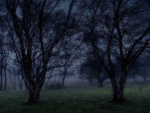 Ellie Davies photography buy original prints here Gilman Contemporary Sun Valley art gallery Idaho