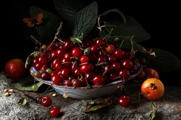 red cherry still life Paulette Tavormina photography buy here Gilman Contemporary Sun Valley art gallery Idaho