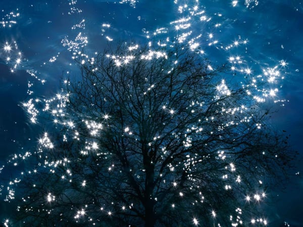 Ellie Davies Dorset based photographer buy here Gilman Contemporary Sun Valley art gallery