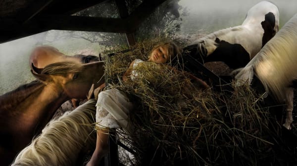 Tom Chambers photography girl and horses buy here Sun Valley art gallery Gilman Contemporary