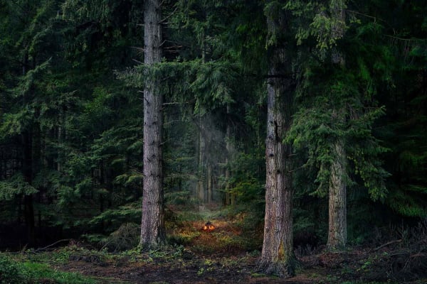 Ellie Davies Uk photographer fires in the forest buy here Gilman gallery Sun Valley contemporary art