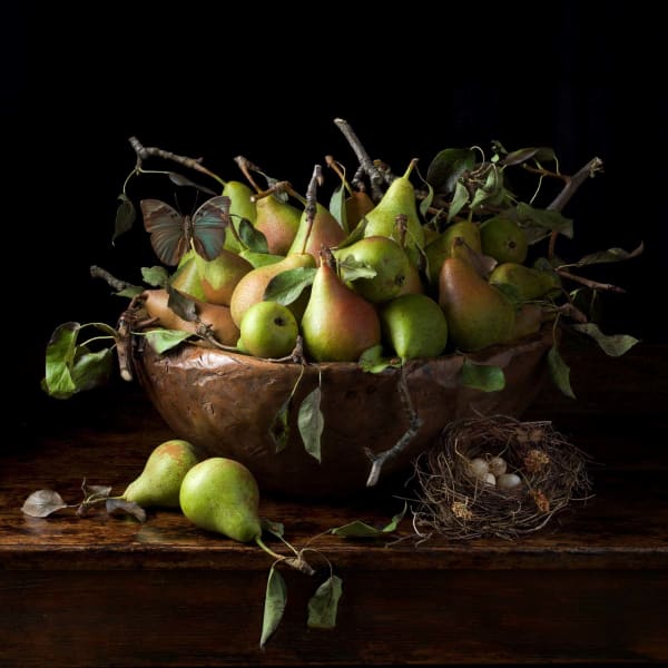 orchard pear still-life photograph Paulette Tavormina New York artist buy here Sun Valley art gallery Gilman Contemporary