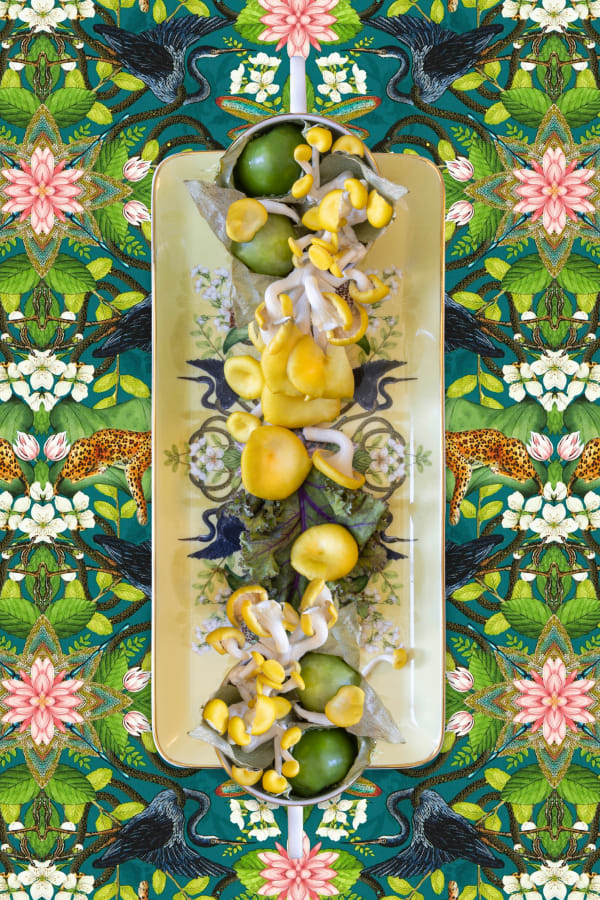 JP Terlizzi photography Creatures of Curiosity buy here