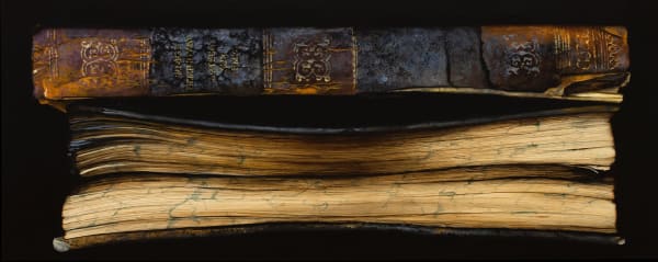 Paul Béliveau, Autodafé VIII