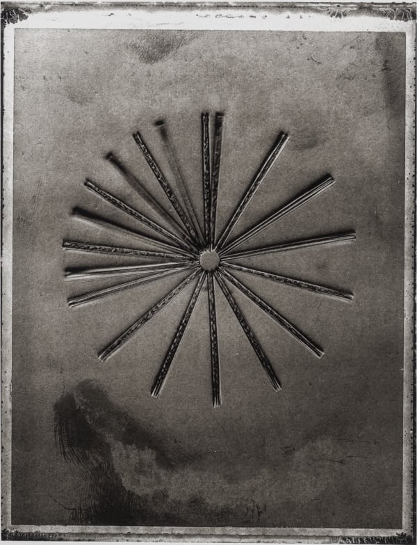 Handmade platinum print of Life on Earth by Jan C Schlegel
