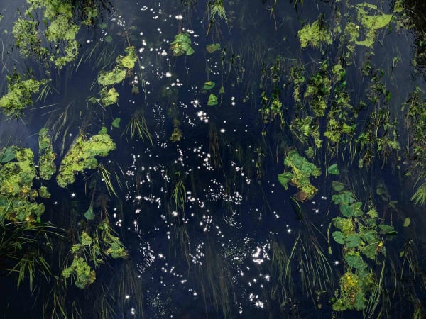 UK photographer Ellie Davies environmental art buy here Gilman Contemporary PX3 Photo Prize Gold Award