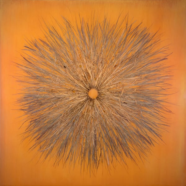 Mayme kratz vanishing light series grasses embedded in resin