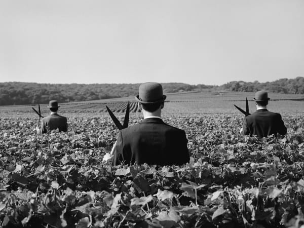 Getty image photograph of the backs of three men with shears and