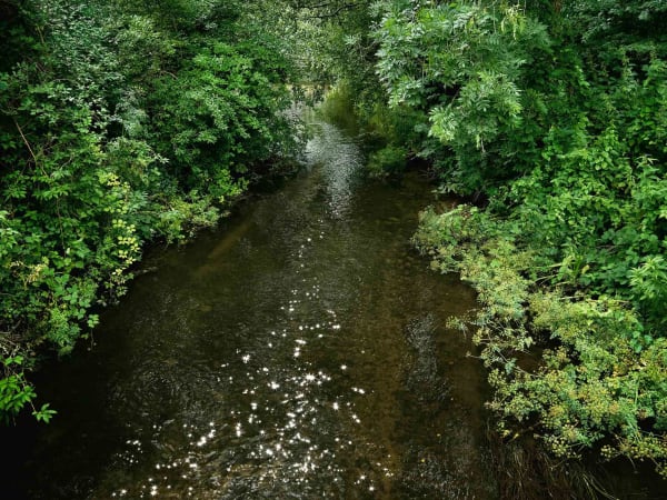 Ellie Davies chalk stream photography Dorset buy here Gilman Contemporary Sun Valley art gallery Idaho