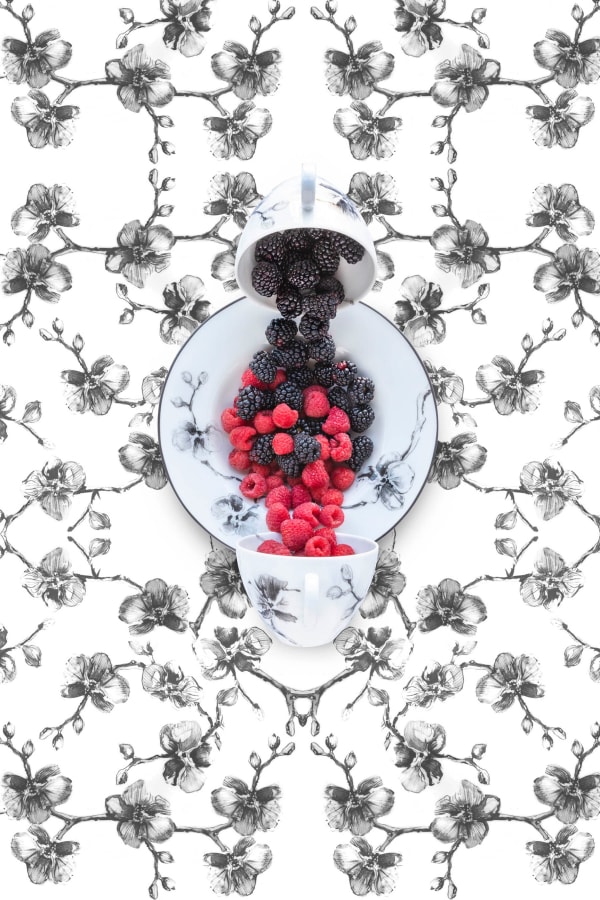 orchid pattern plates in black with raspberries jp terlizzi