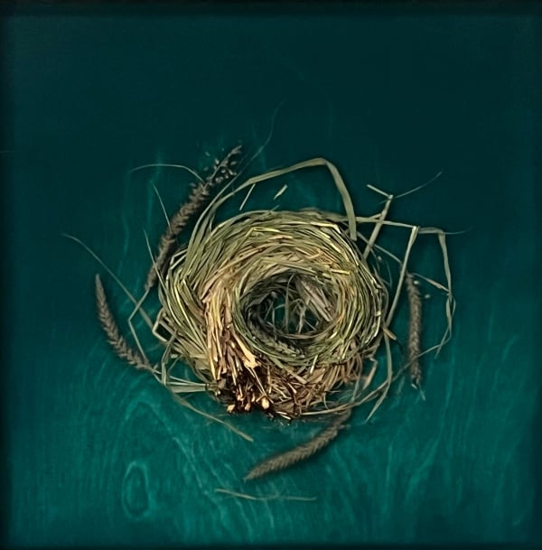 Mayme Kratz green resin and spurge on panel nest at gilman contemporary sun valley