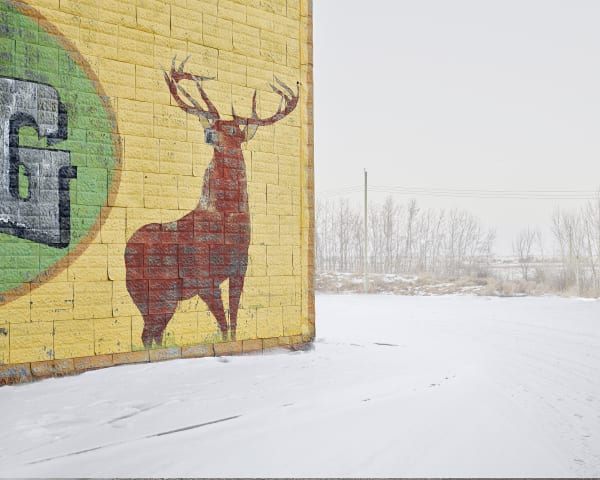 David Burdeny, Deer Crossing, Alberta, CA