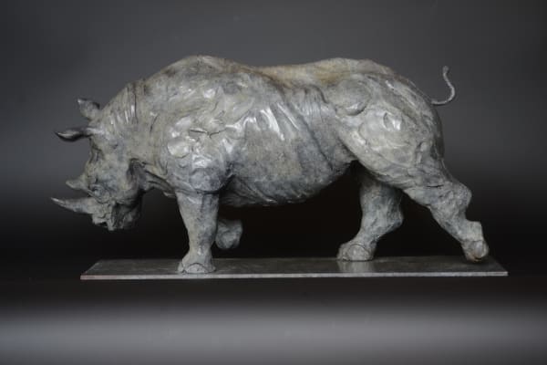 Edward Waites, Charging Rhino