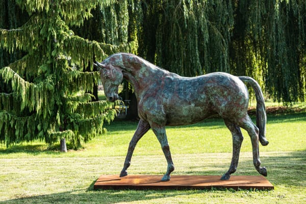 Edward Waites British, (Contemporary)Walking Stallion Bronze 240 x 200 x 90 cms / 94 ½ x 78 ¾ x 35 ½ inches Edition of 3 (Edition record)