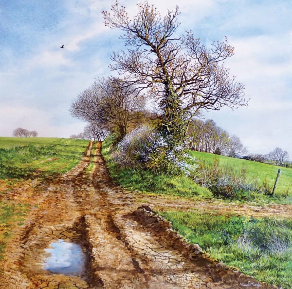 Martin Taylor, Tracks - Spring