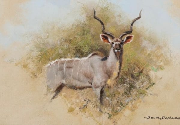 David Shepherd Striking Gaze