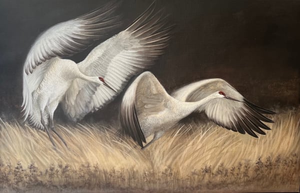 Clarissa James, Homing In