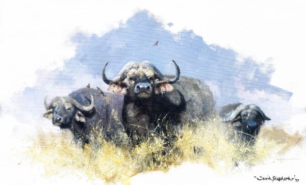 David Shepherd Three Buffalo, 1997