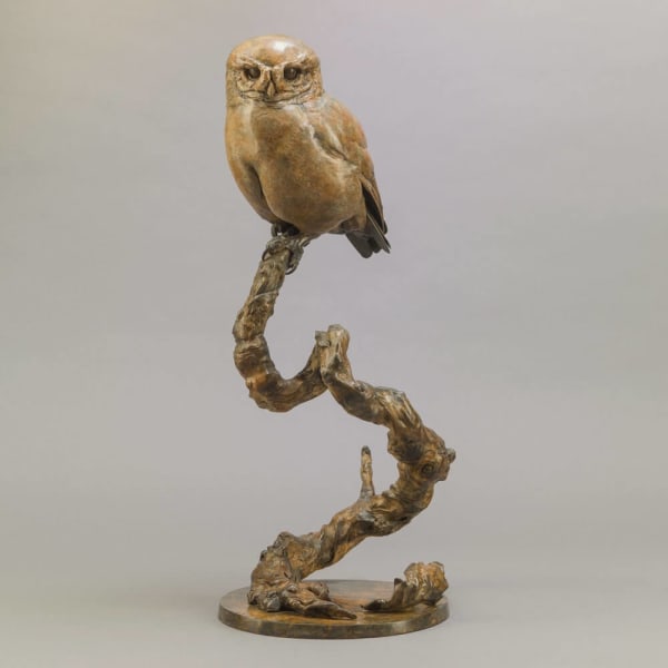 Nick Bibby, Little Owl II
