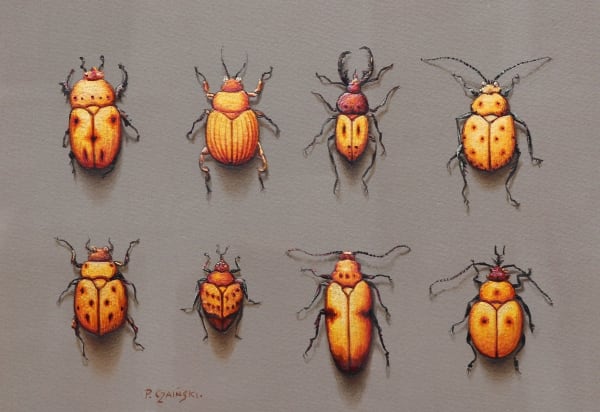 Paul Czainski, Orange Bugs
