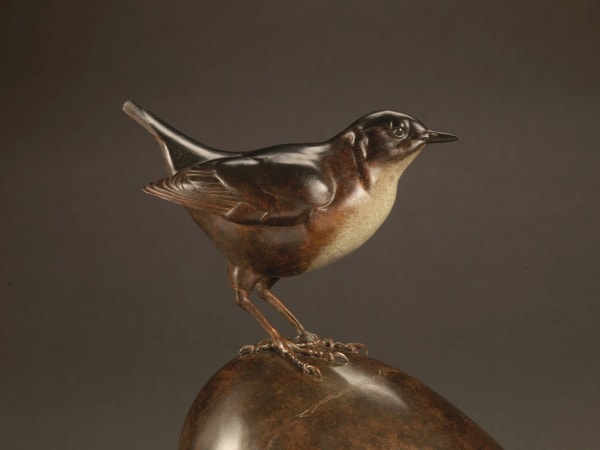 Nick Bibby, Dipper