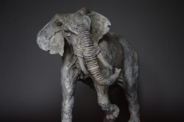 Edward Waites, African Elephant