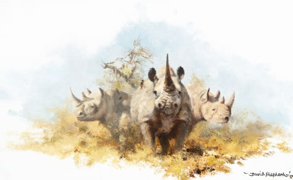 David Shepherd Rhinos, 1997