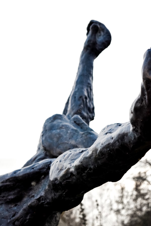 Stella Shawzin Athlete I
