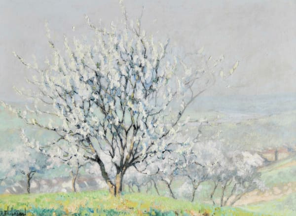 Raymond Thibésart French, (1874-1968)White Blossom in Spring Signed 'R Thibésart' (lower left) Oil on Canvas 60 x 81.5 cms / 23½ x 32 inches