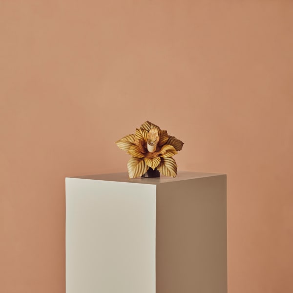 Painted Flower Lights