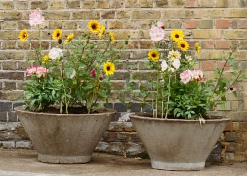 Brutalist Concrete Planters
