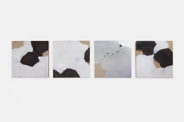 Waysatta Fernández, Grupo 1 de la serie: un murmullo que raspa y acoge, 2024-25