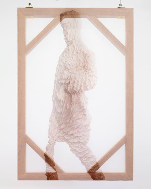 Julieta Gil, Transfigurado IV, 2024