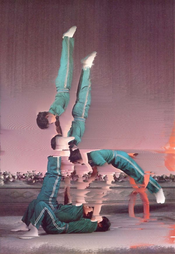 Jumping Through Hoops, 2017 Glicée on canvas 149.5 x 103.5 x 3 cm 59 x 41 x 1 in